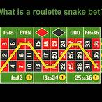 roulette snake bet